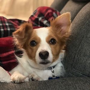 Meet your Posher, Grace